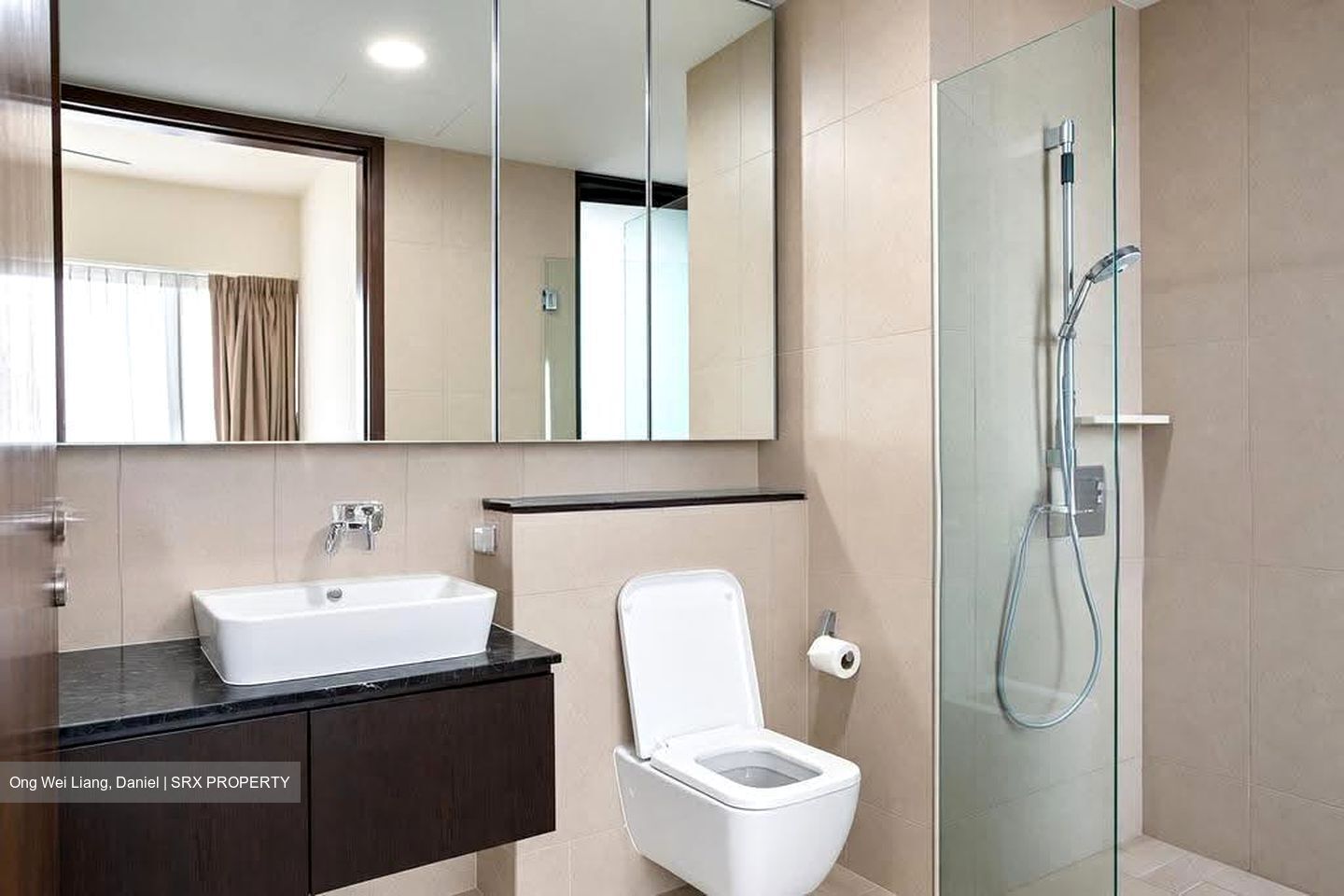 Spottiswoode Residences (D2), Condominium #632889761